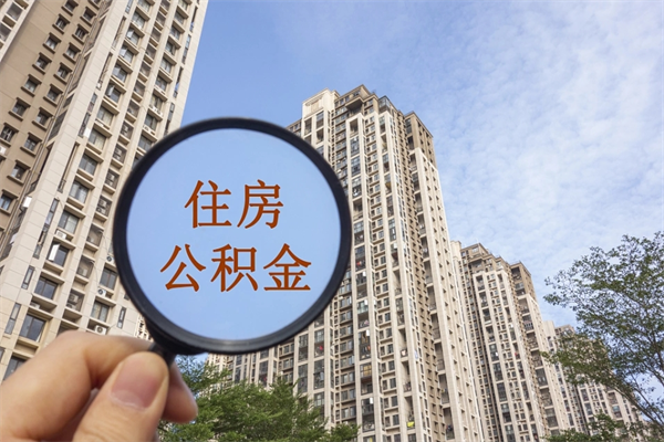 查询我的住房公积金-莒县公积金代办平台